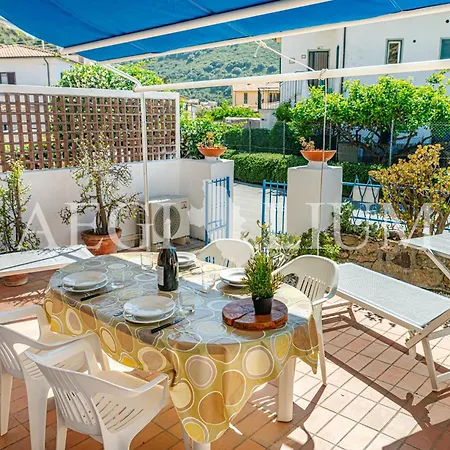 Appartement Olivo